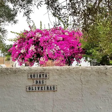 Casa Rústica No Monte Oliveiras, Sta Margarida, * Tavira